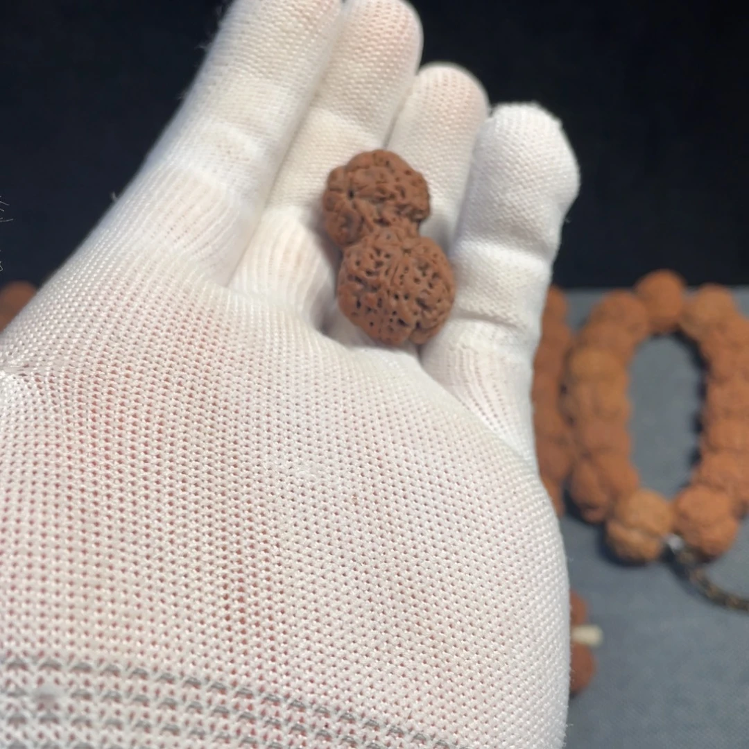 张***.手串金刚菩提补籽 2 颗