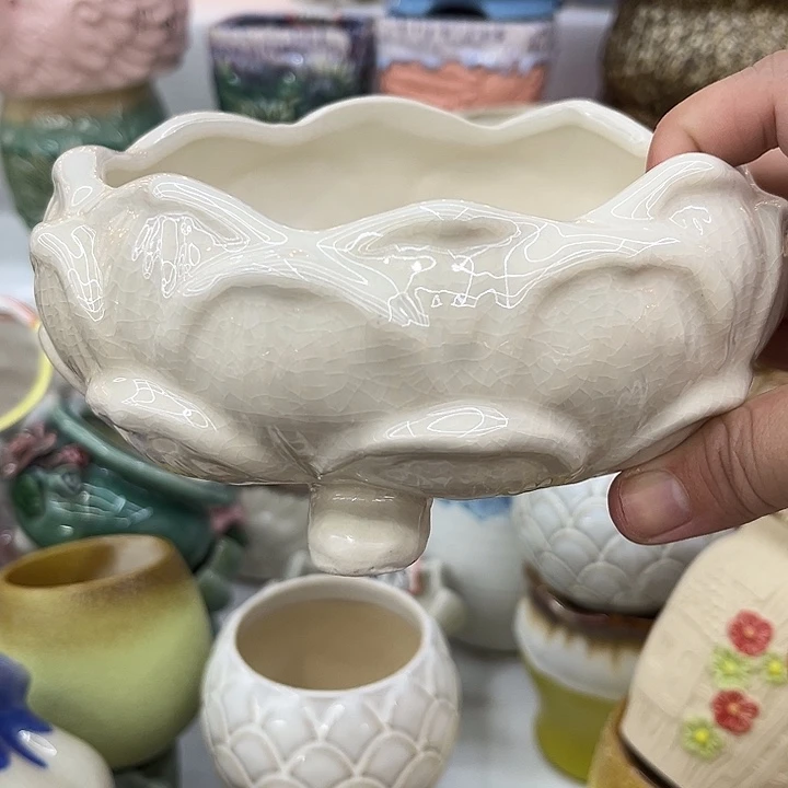 多肉植物陶瓷花盆