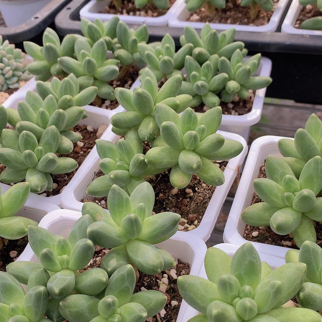 千代田235778999990