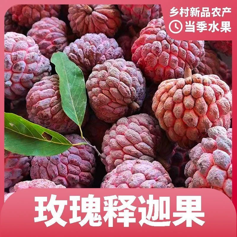 【顺丰空运】海南玫瑰释迦果热带水果释迦果当季新鲜水果纯甜
