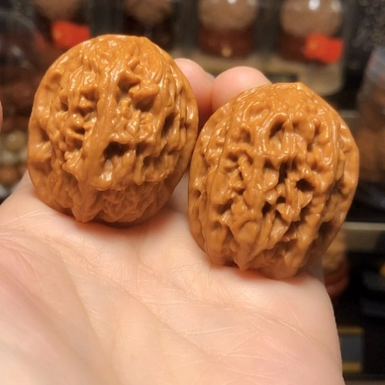 野生小众：精品红莲