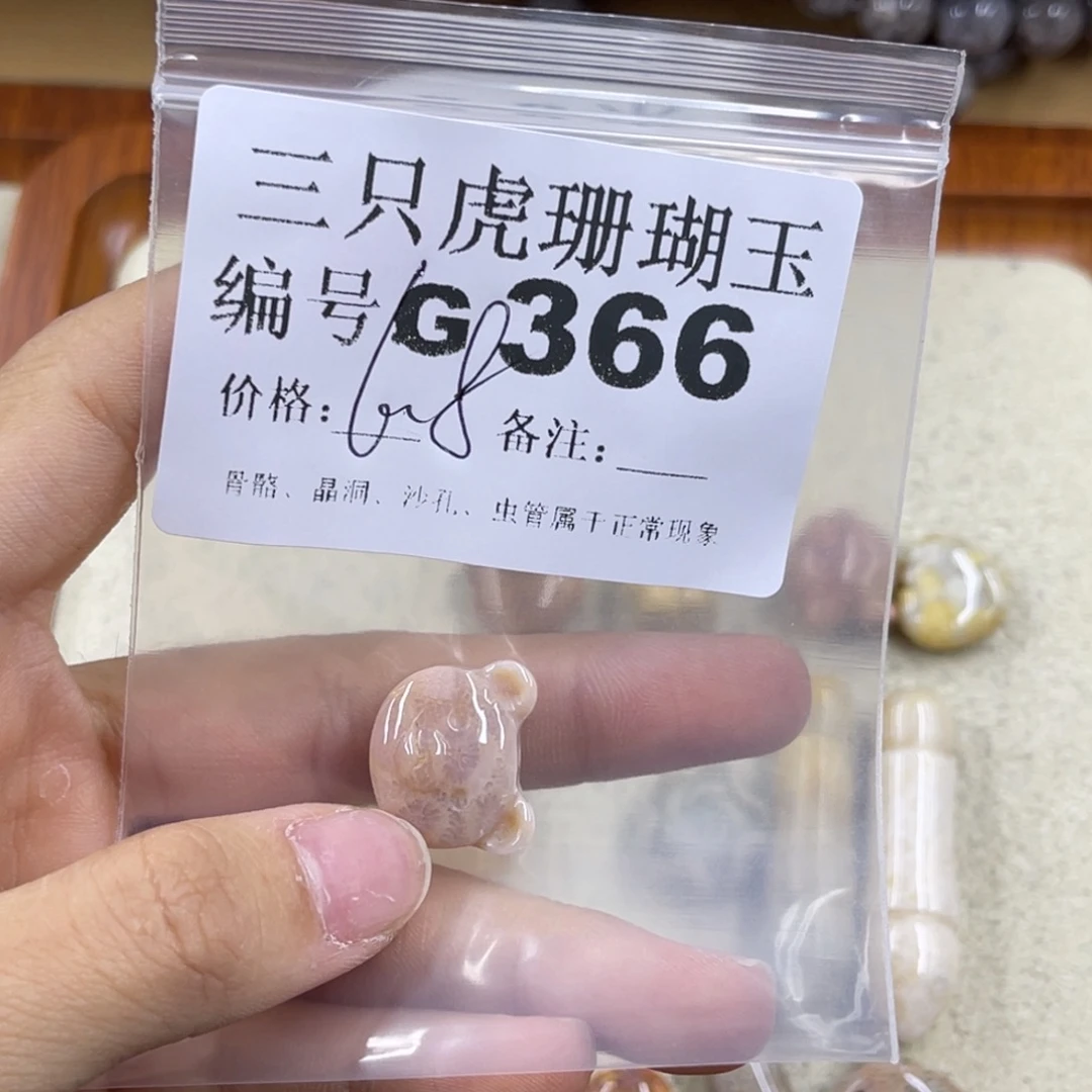 司***雪未镶嵌h硅化珊瑚（珊瑚玉）