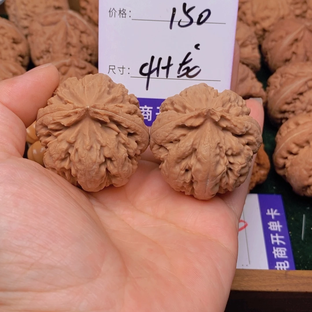 文玩核桃霸王龙核桃
