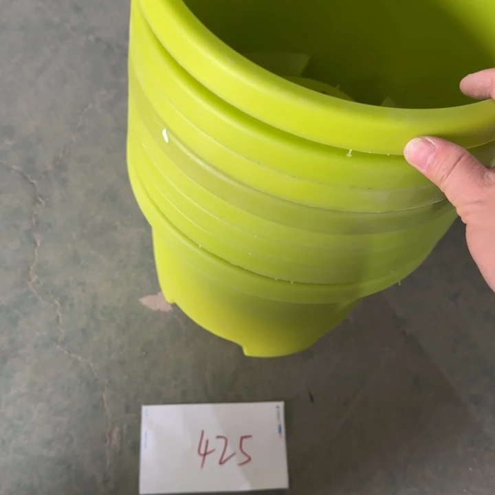 编号425球根瑕疵