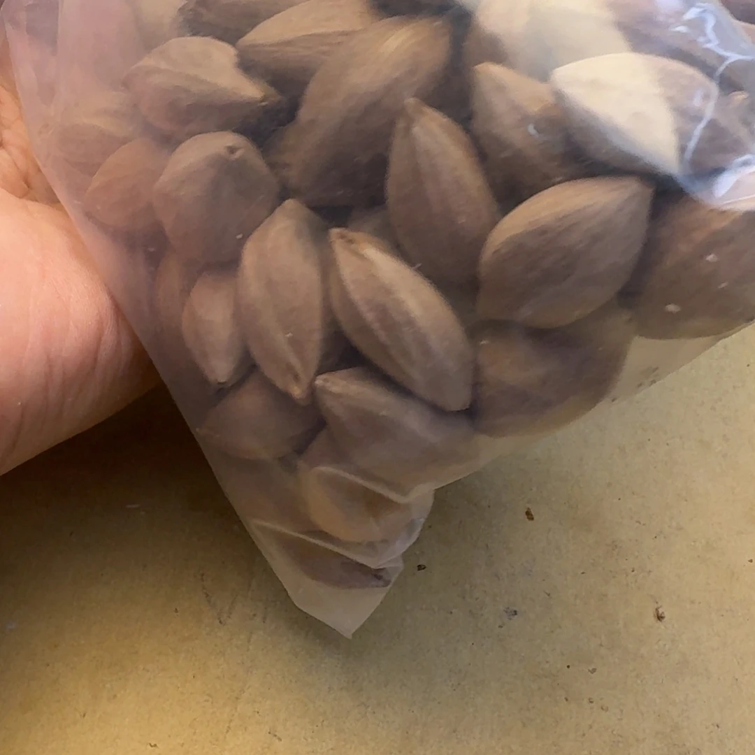 小***义手串/手链橄榄核2