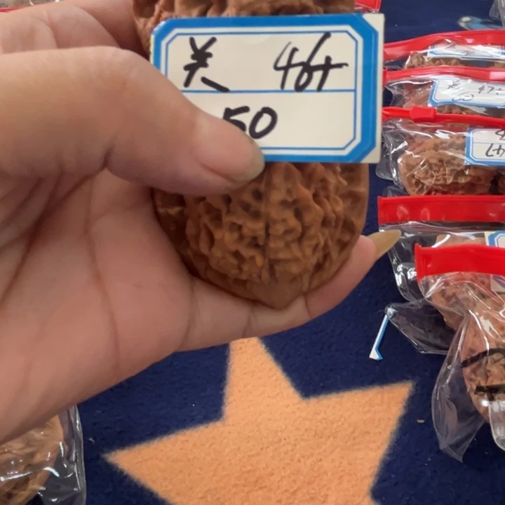 核桃46大官帽50号