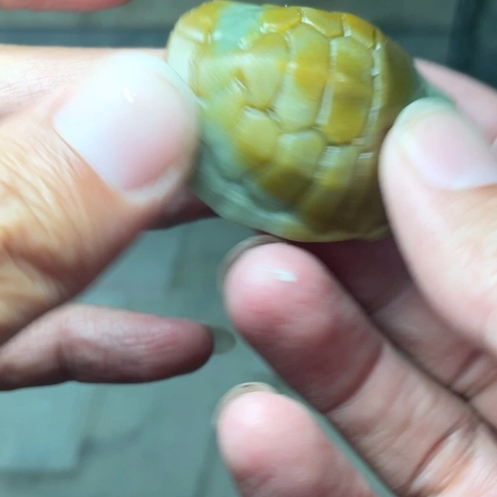 和田玉未镶嵌摆件