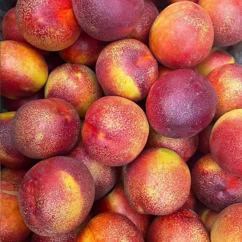农家自种黄肉油桃 应季新鲜水果整箱包邮