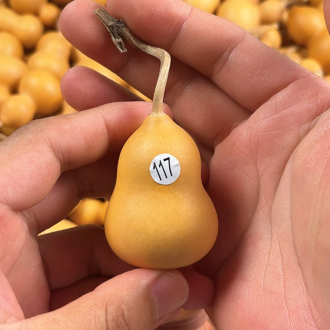 一葫芦葫芦葫芦葫芦葫芦117