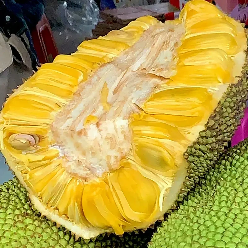 越南菠萝蜜整果10斤左右越南社会主义共和国