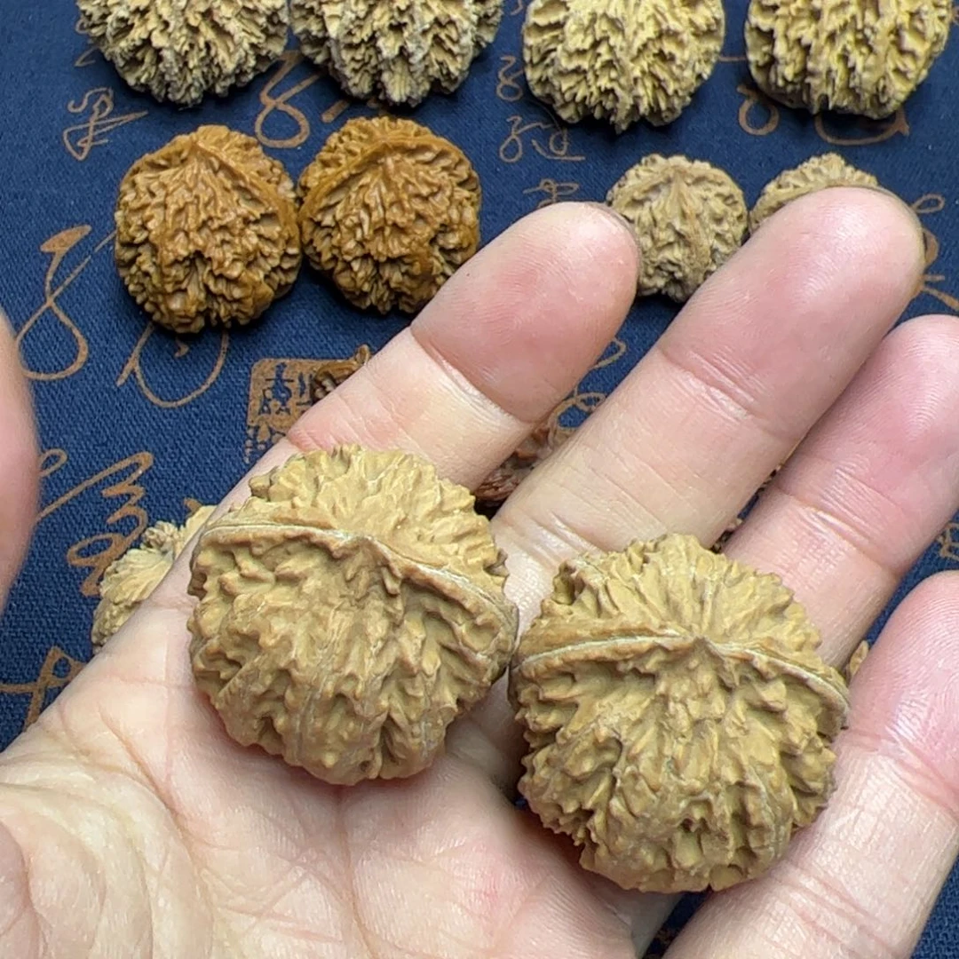 文玩核桃把件秦岭野生灯笼核桃