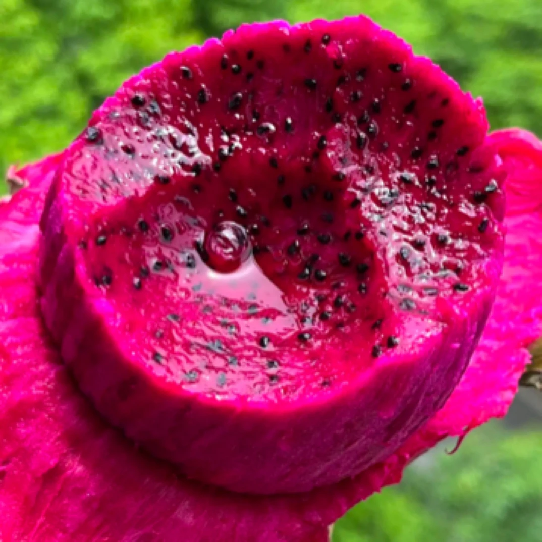 【果季青】红心火龙果1枚装