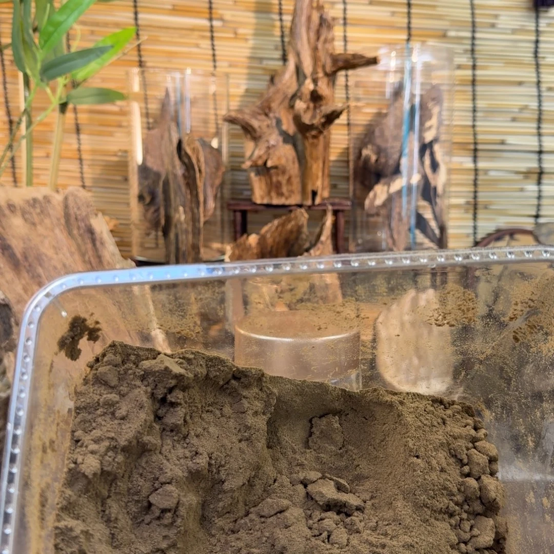 沉香沉香碎屑沉香包头粉50g