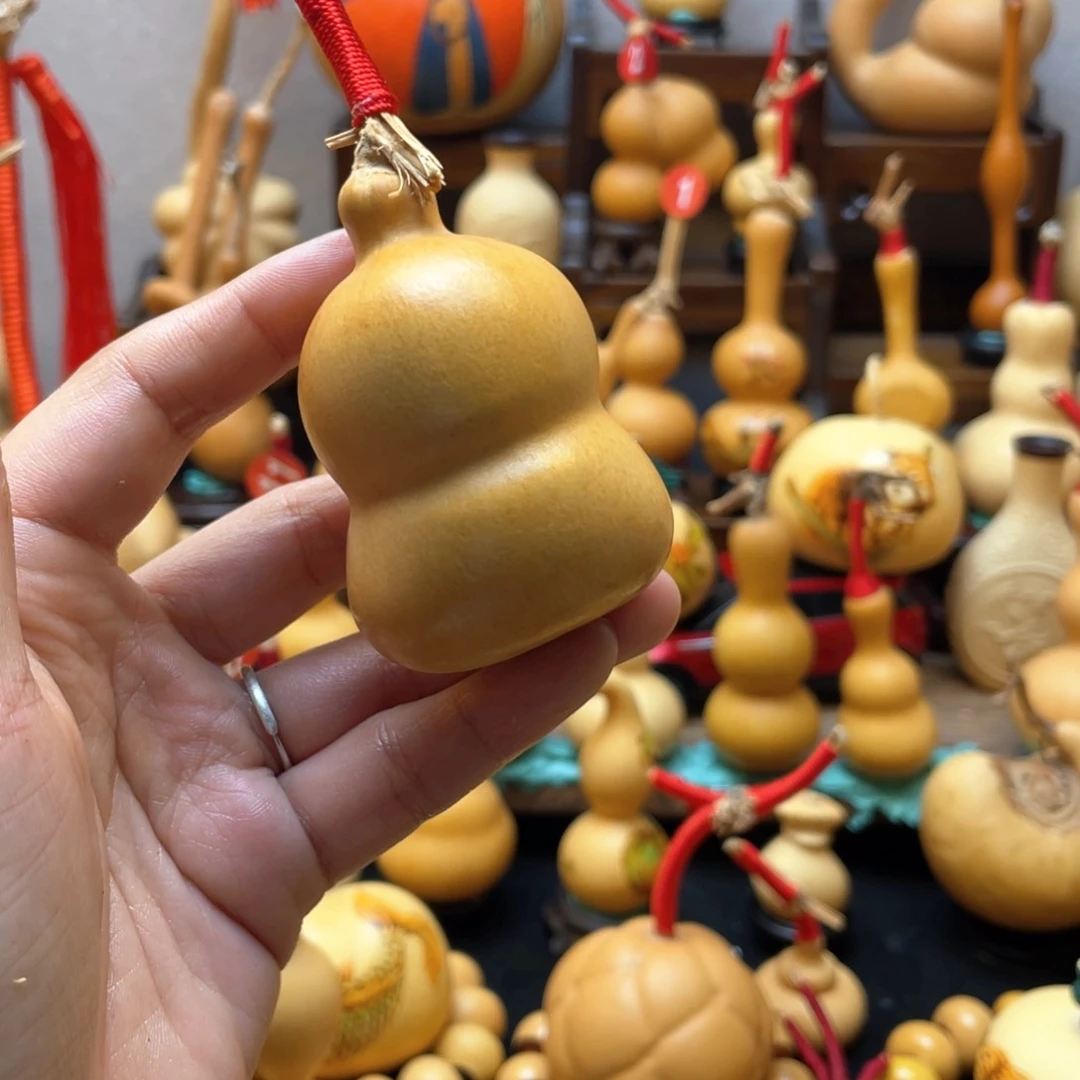 西****大自然的秘密第十一