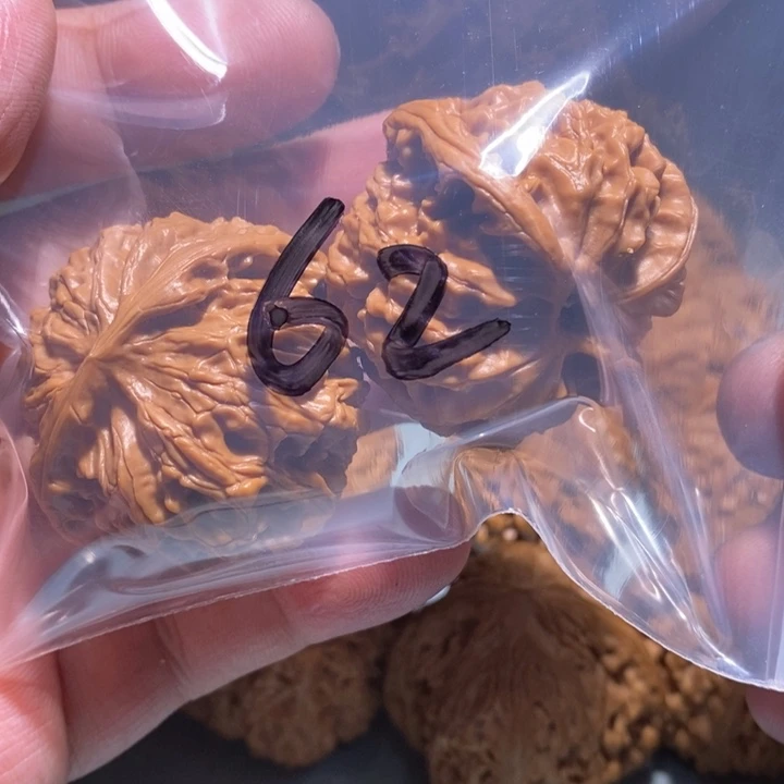 文玩核桃把件62的的一