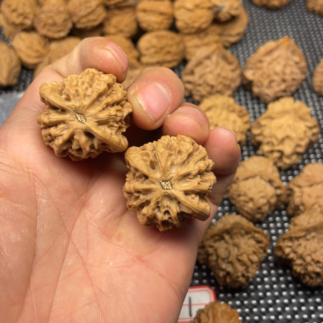 路*秦岭的小王核桃啊啊啊