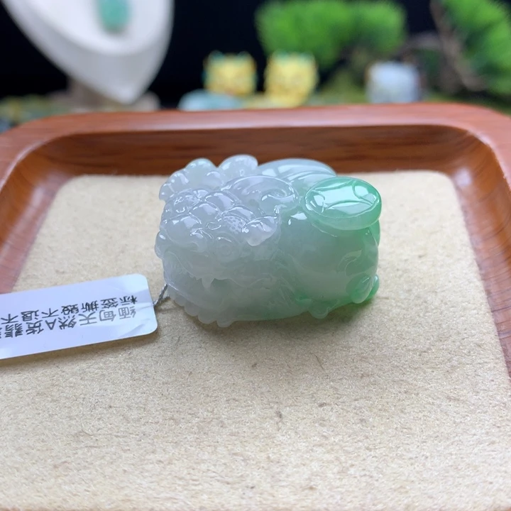 翡翠未镶嵌颈饰貔貅34