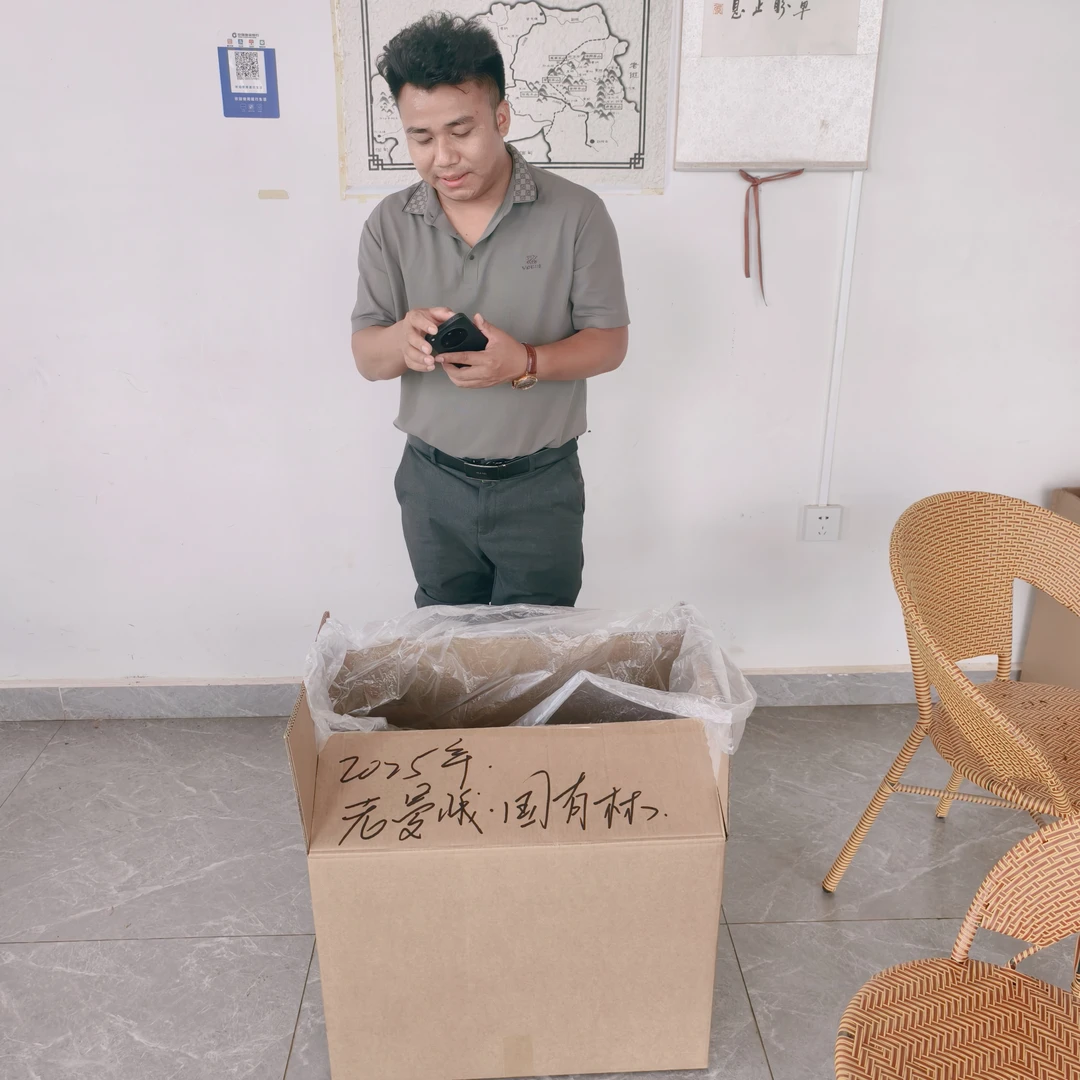 2025老曼峨头春国有林古树普洱茶生茶散茶100克/份