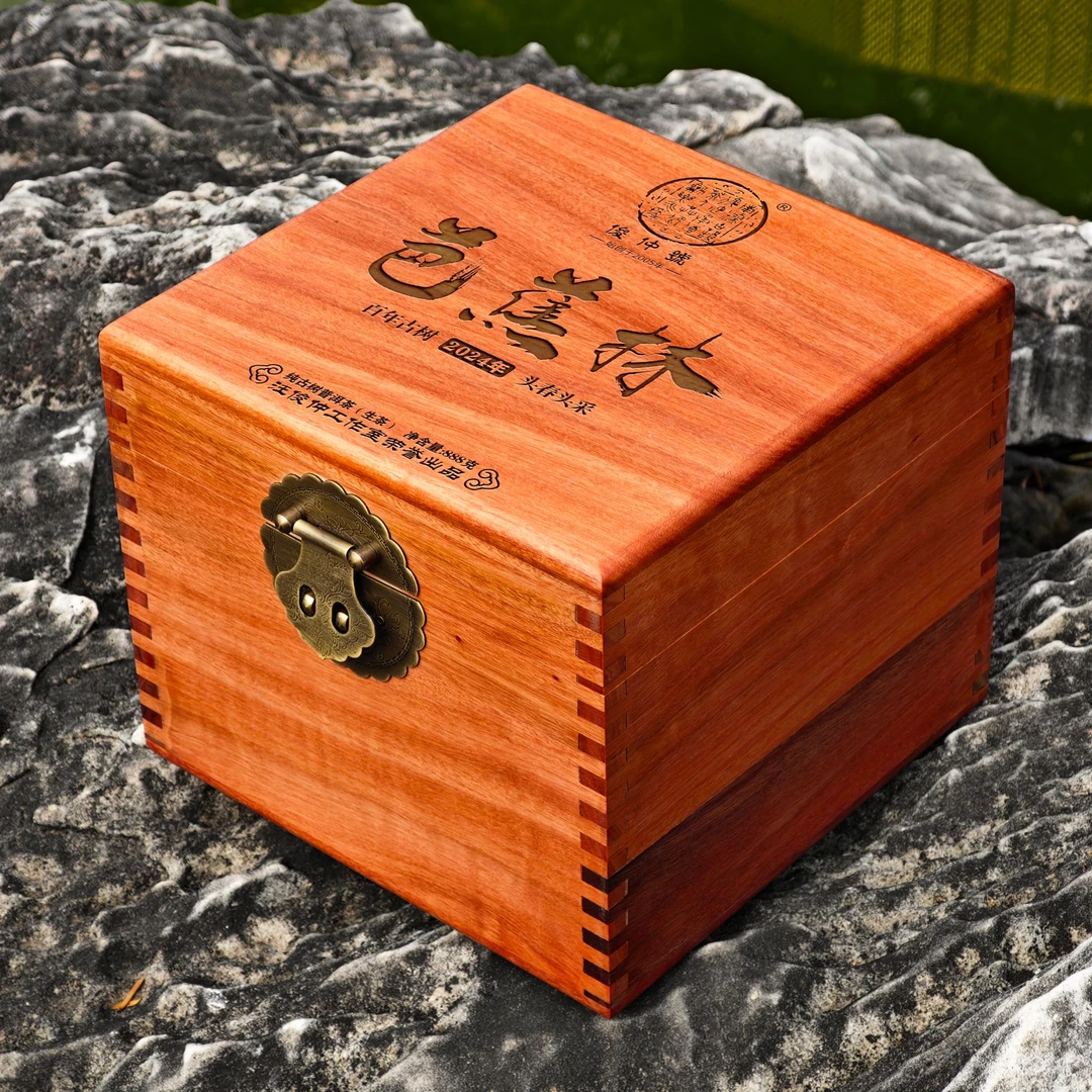 俊仲号 芭蕉林高山古树普洱茶生茶