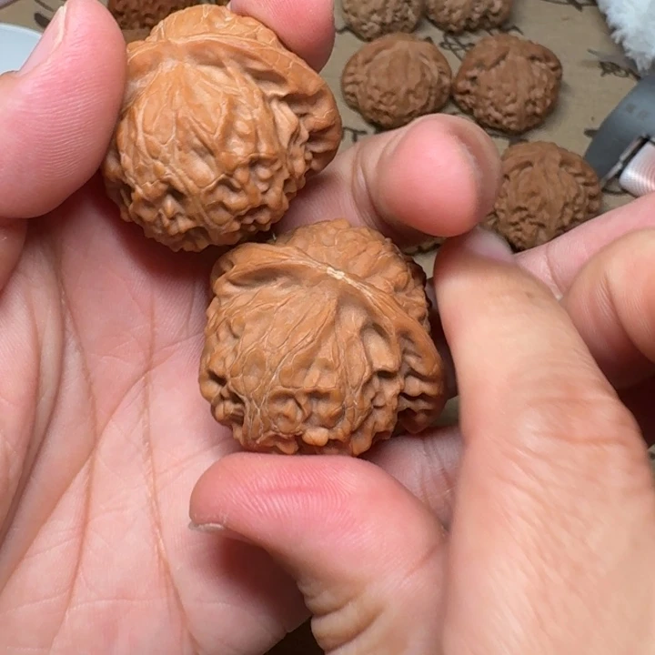 茈宫灯有黄尖不退不换