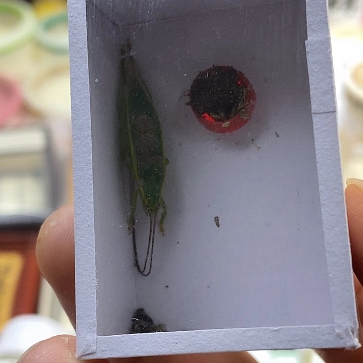 王***生橙杆啊啊啊啊啊啊