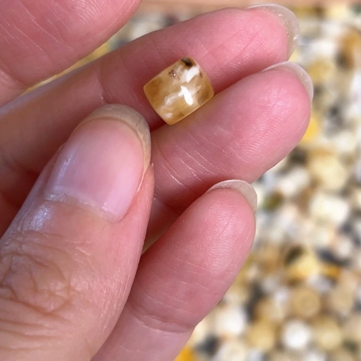 未镶嵌蜜蜡裸石8.1mm一个