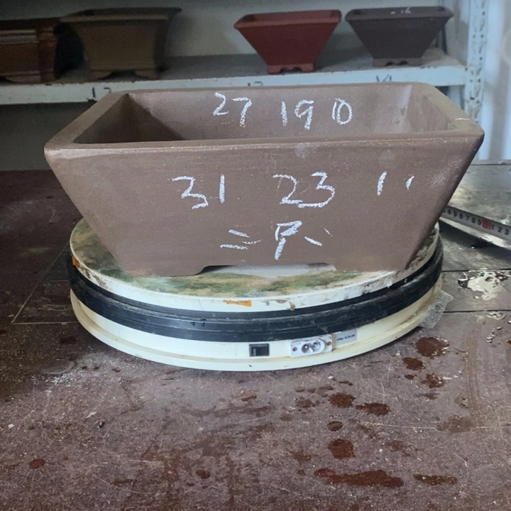 紫砂花盆自由的人