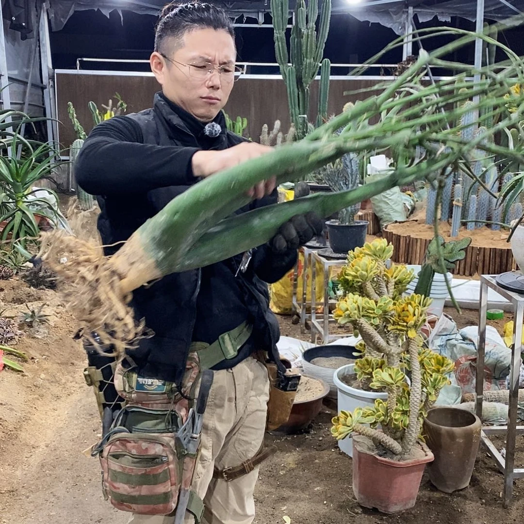 盈***.56号拍品。