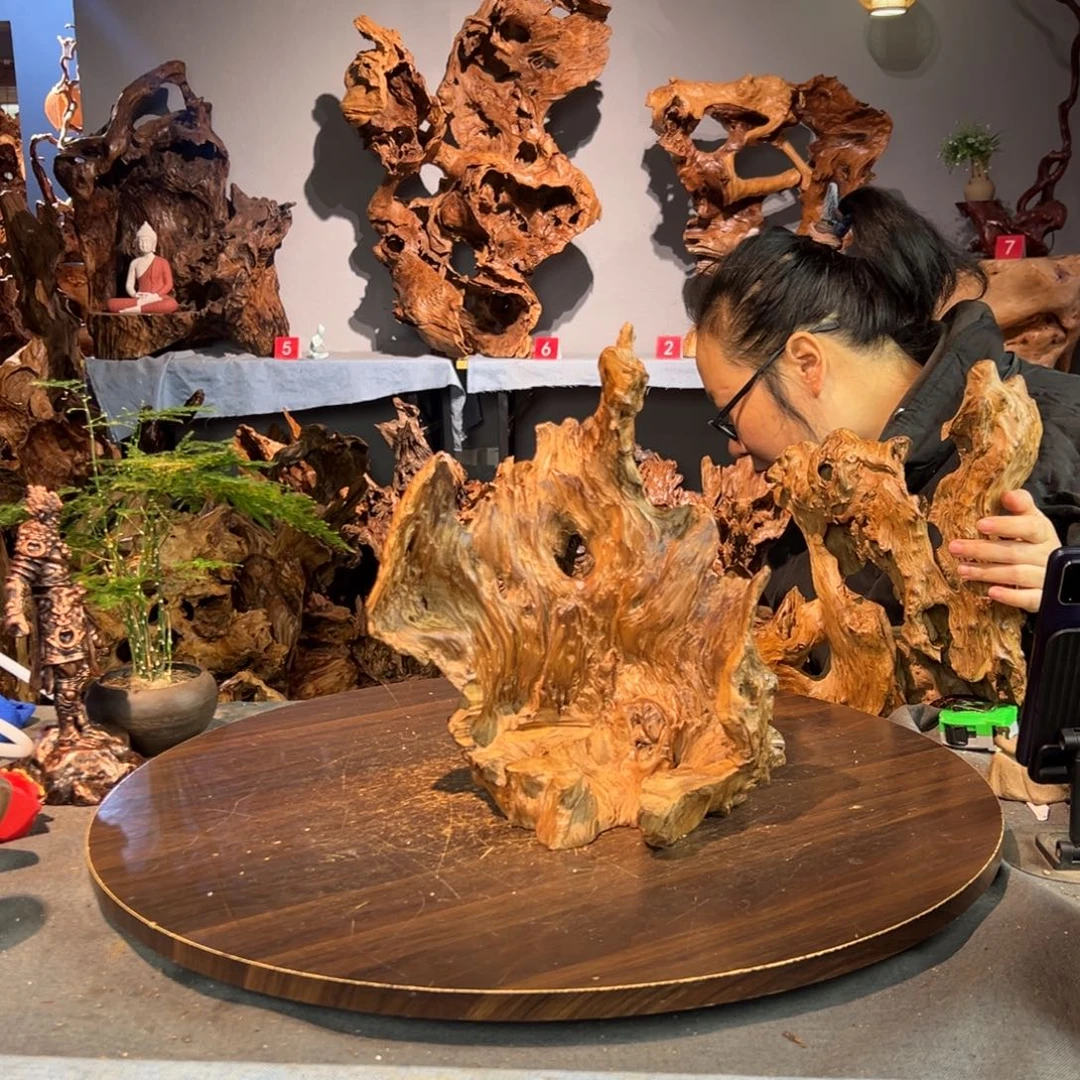 登***远香杉木479aaaaaaaaaa