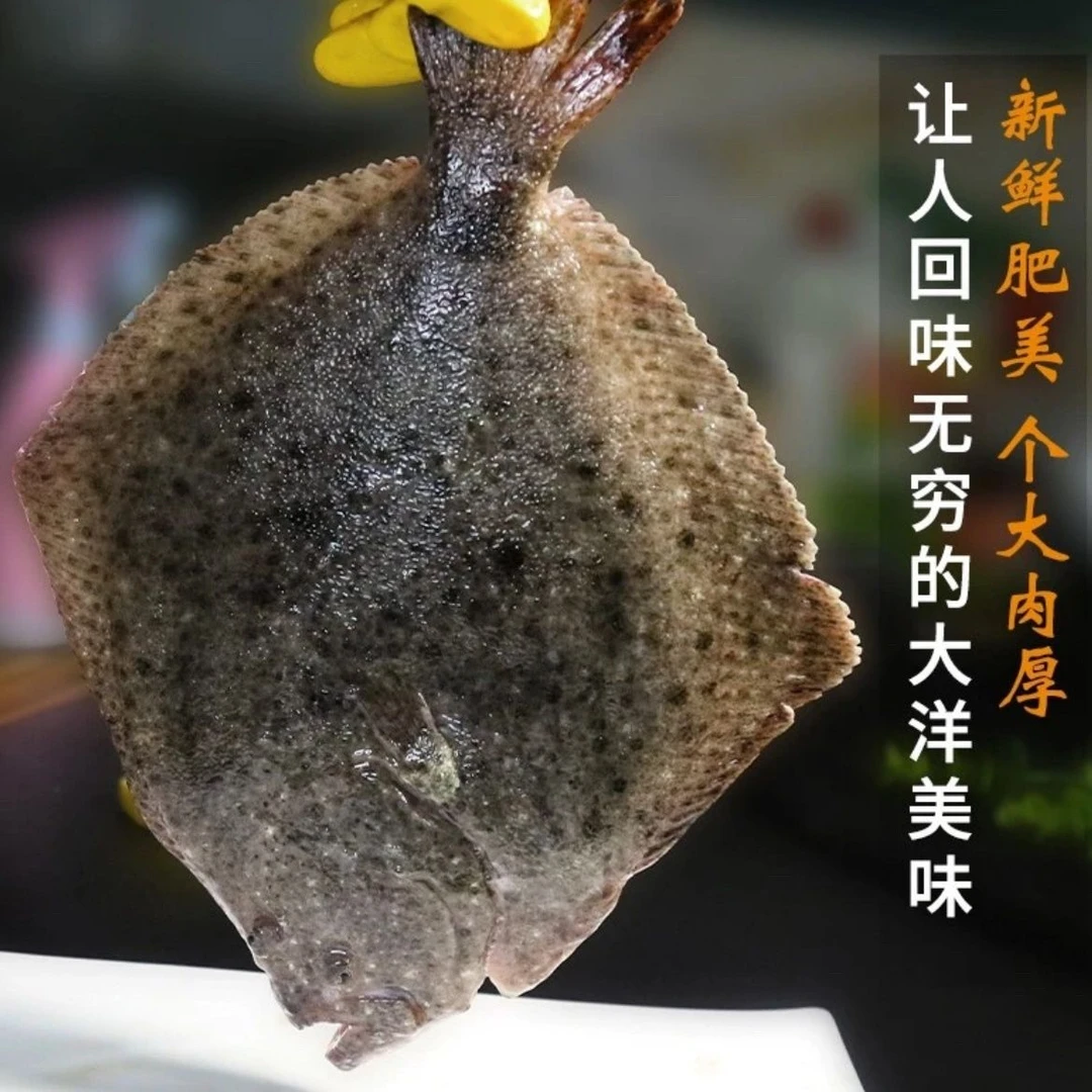 【顺丰包邮】酵素新鲜多宝鱼活鱼现发小孩孕妈老人放心吃一根主骨刺