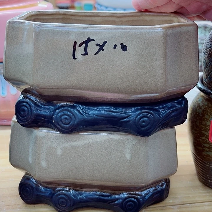 福利盆，9.99包邮，有空