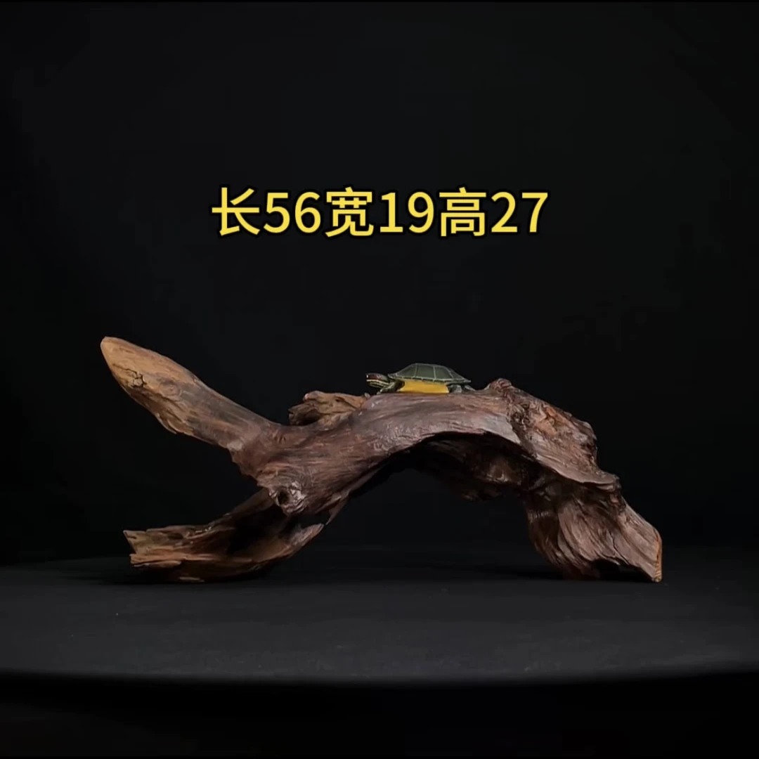张大狼造景沉木长56cm拱桥飘枝 乌龟爬台南美鱼缸造景 紫柚木秒沉