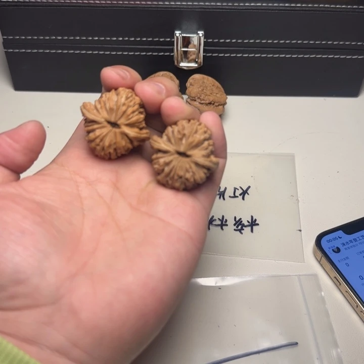 大叶紫檀（黑酸枝木类）