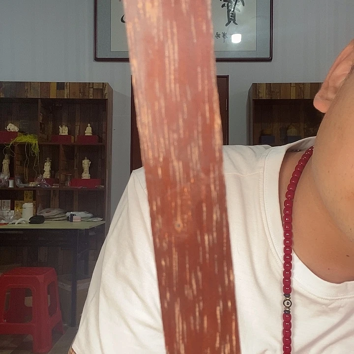 大果紫檀（缅甸花梨）479