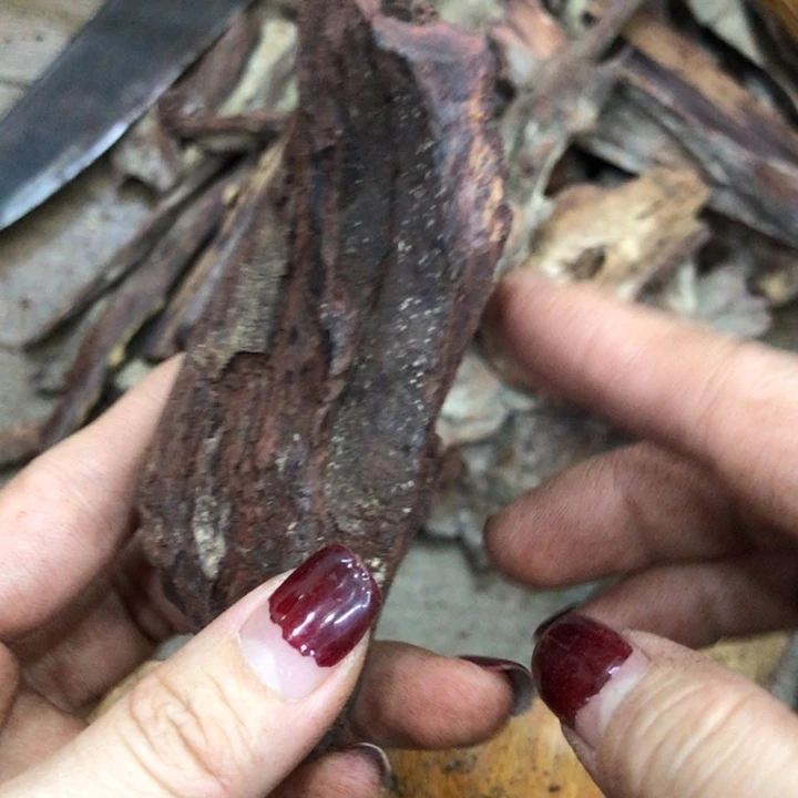 降真香无事牌角**间红降原料