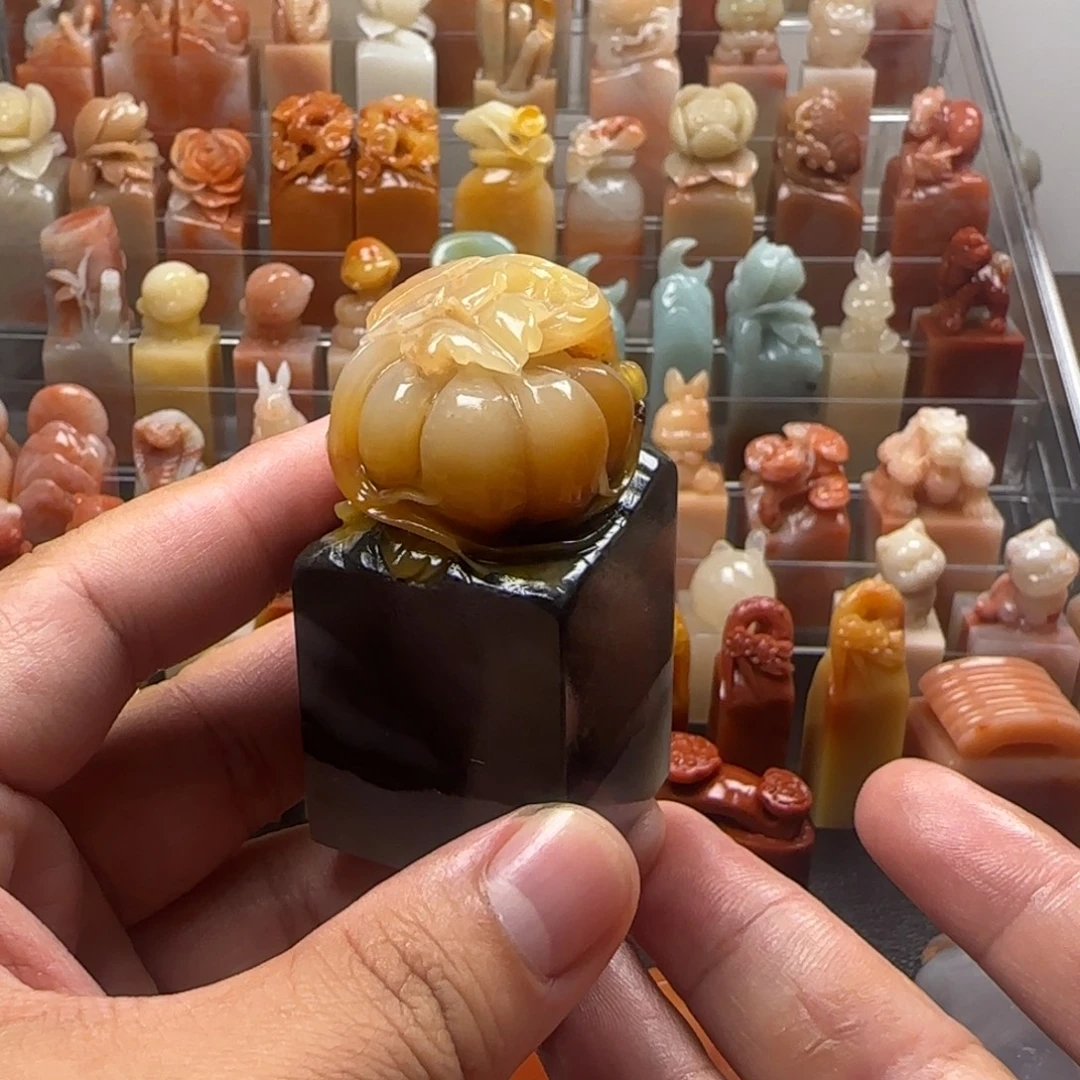 老挝石南瓜   3.2×6.4