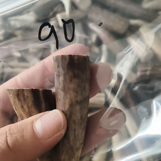 a***g鹿角鹿角鹿角鹿角鹿角鹿角