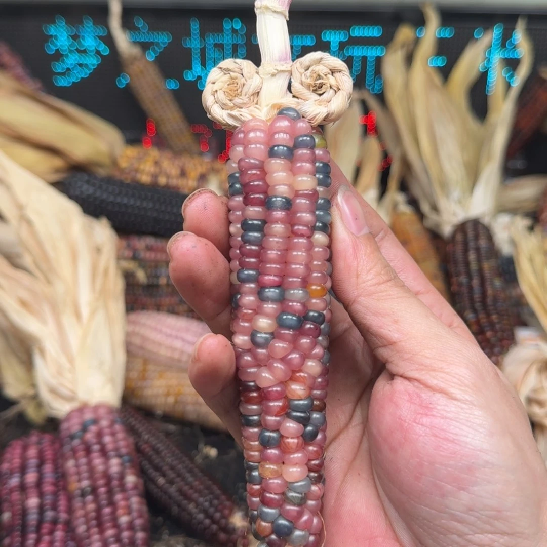 柏香籽/百香籽吊坠小*袋
