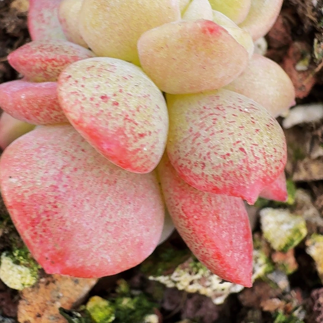 ?**?哈哈哈哈哈哈哈哈哈哈哈