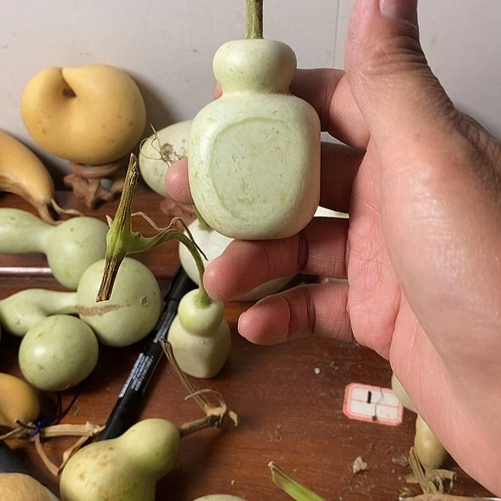 爱***儿青皮葫芦手把件摆件葫芦