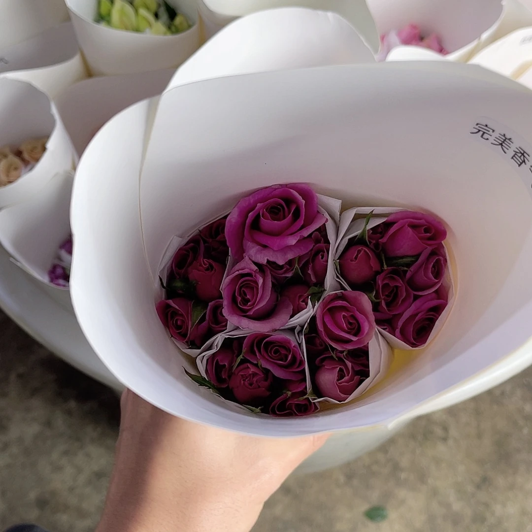 完全开放醒目（完美香气）一扎