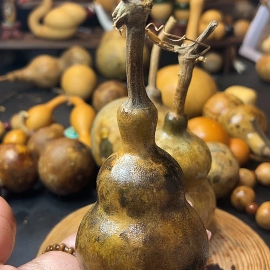 J**E葫芦葫芦葫芦葫芦