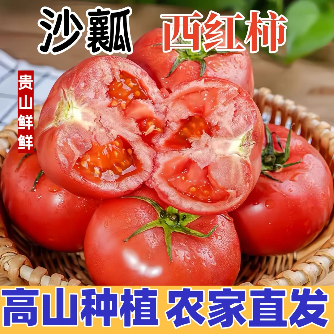新鲜沙瓤西红柿生吃小农直发粉西红柿新鲜蔬菜贵州沙瓢西红柿番茄