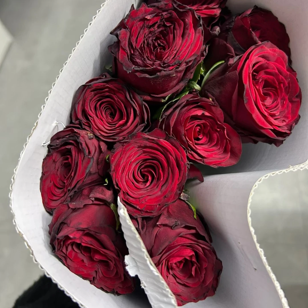 【娜欧米月季】四季切花品种