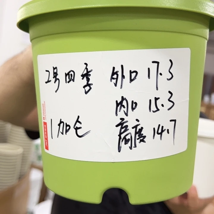 特价2号口17高15果绿色10只无托