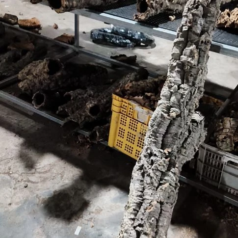 养***趣顺顺利利，平平安安