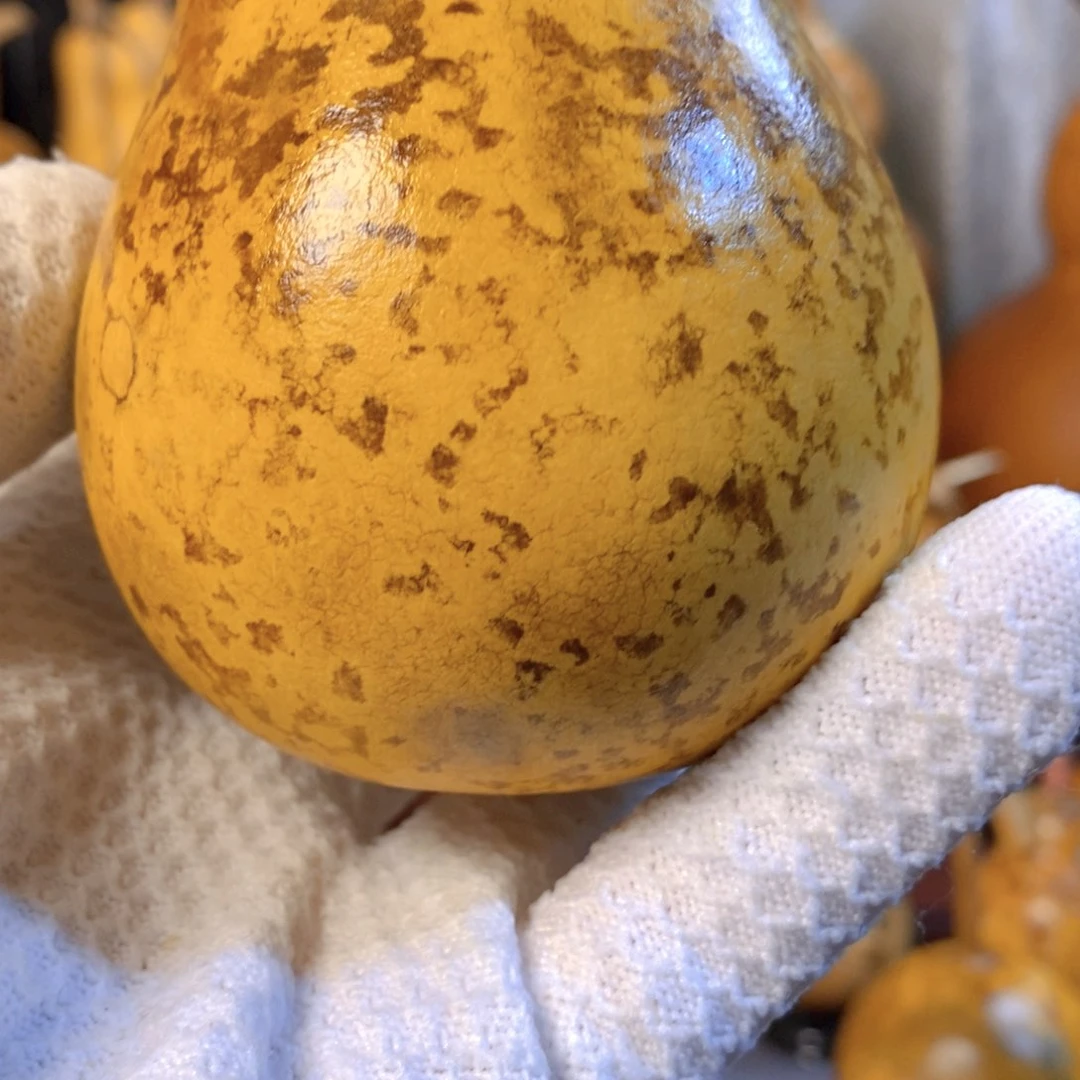 ?****3精品葫芦精品葫芦