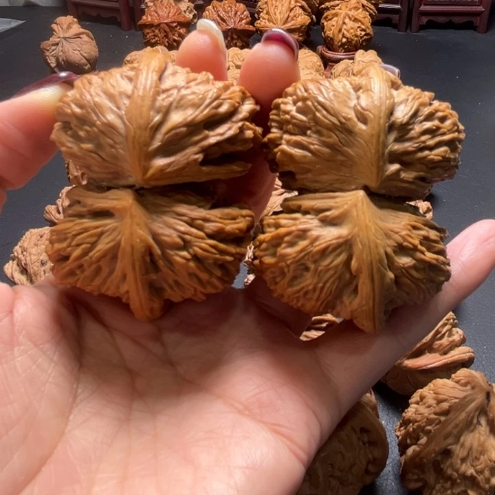 白狮子桥连55尺寸核桃哈哈哈哈哈哈