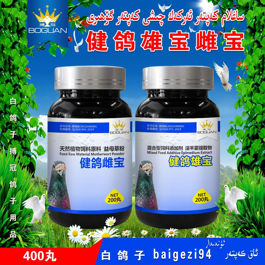 白鸽子搏冠健鸽雄宝雌宝 arkak qixi kaptar gohiri【新疆包邮】