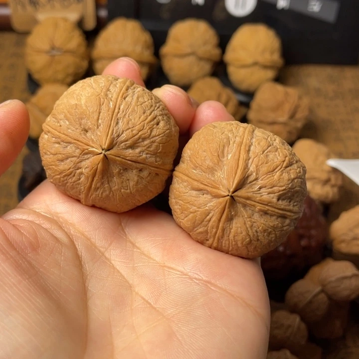 ****幸如图所示一物一拍45